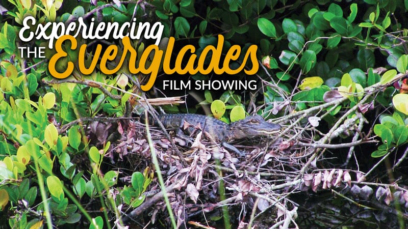 Experiencing the Everglades film showing