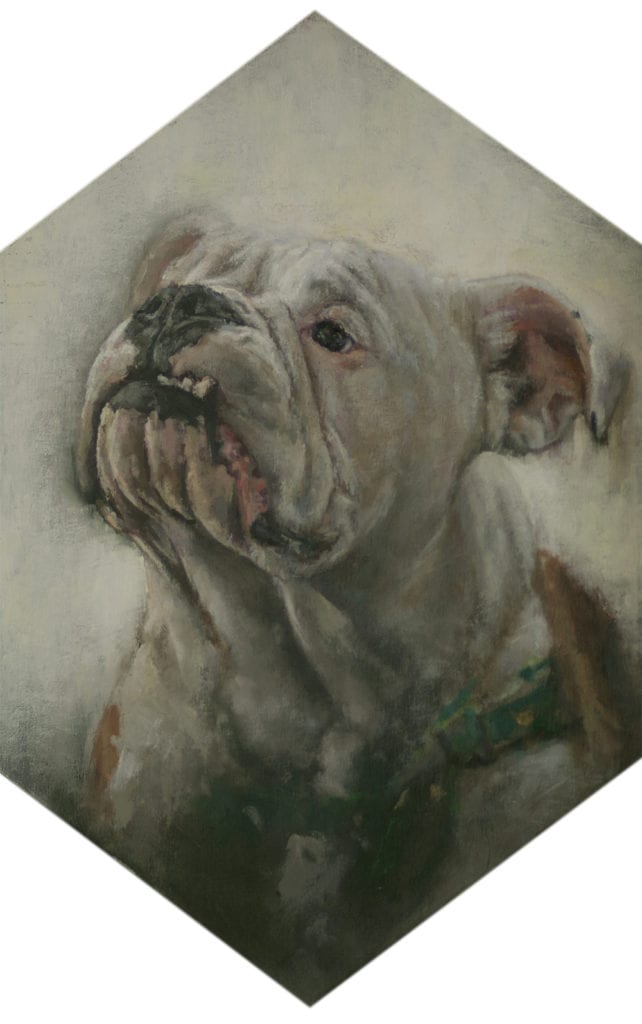 SUNY Broome Visual Communication Arts Professor David Zeggert's oil portrait of Charlie, an English bulldog