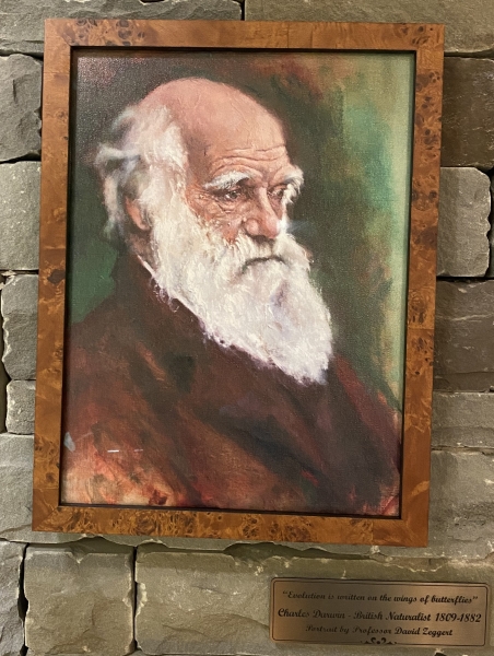 oil painting of Darwin by David Zeggert