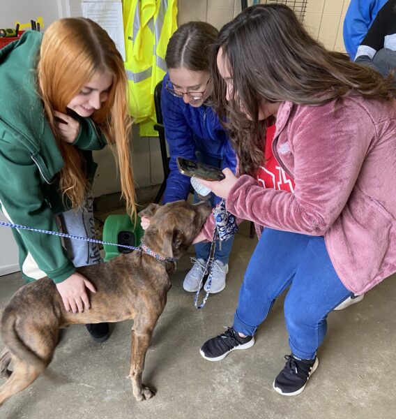 3 SUNY Broome Business Club members petting a dog at the Broome County Dog Shelter