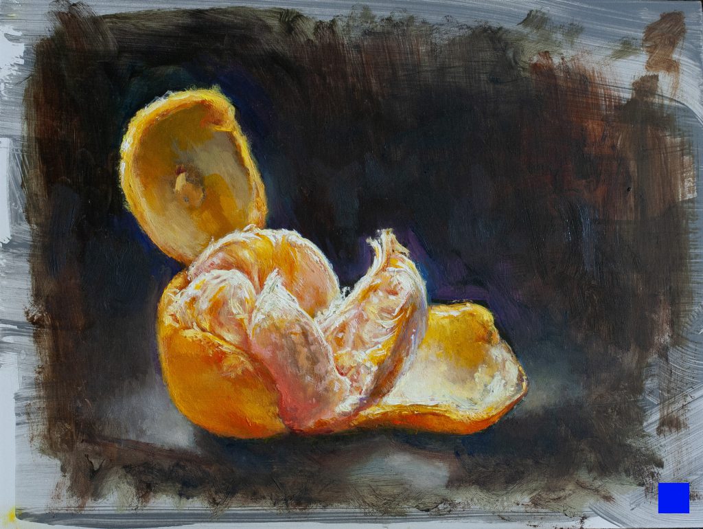 The grapefruit study is an 8 x 20 study of the section, illuminated by several sources that presented paint problems as well as interesting areas to find and paint light.