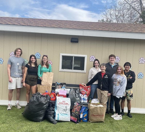 The Business Club teamed up with the BC Center (again) and raised over $100 in cash, $120 in gift cards, and $300+ in dog food, treats, and toys.