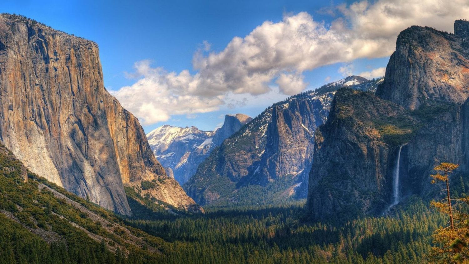 Adventure time: Head west to study the Ecology of the National Parks this summer