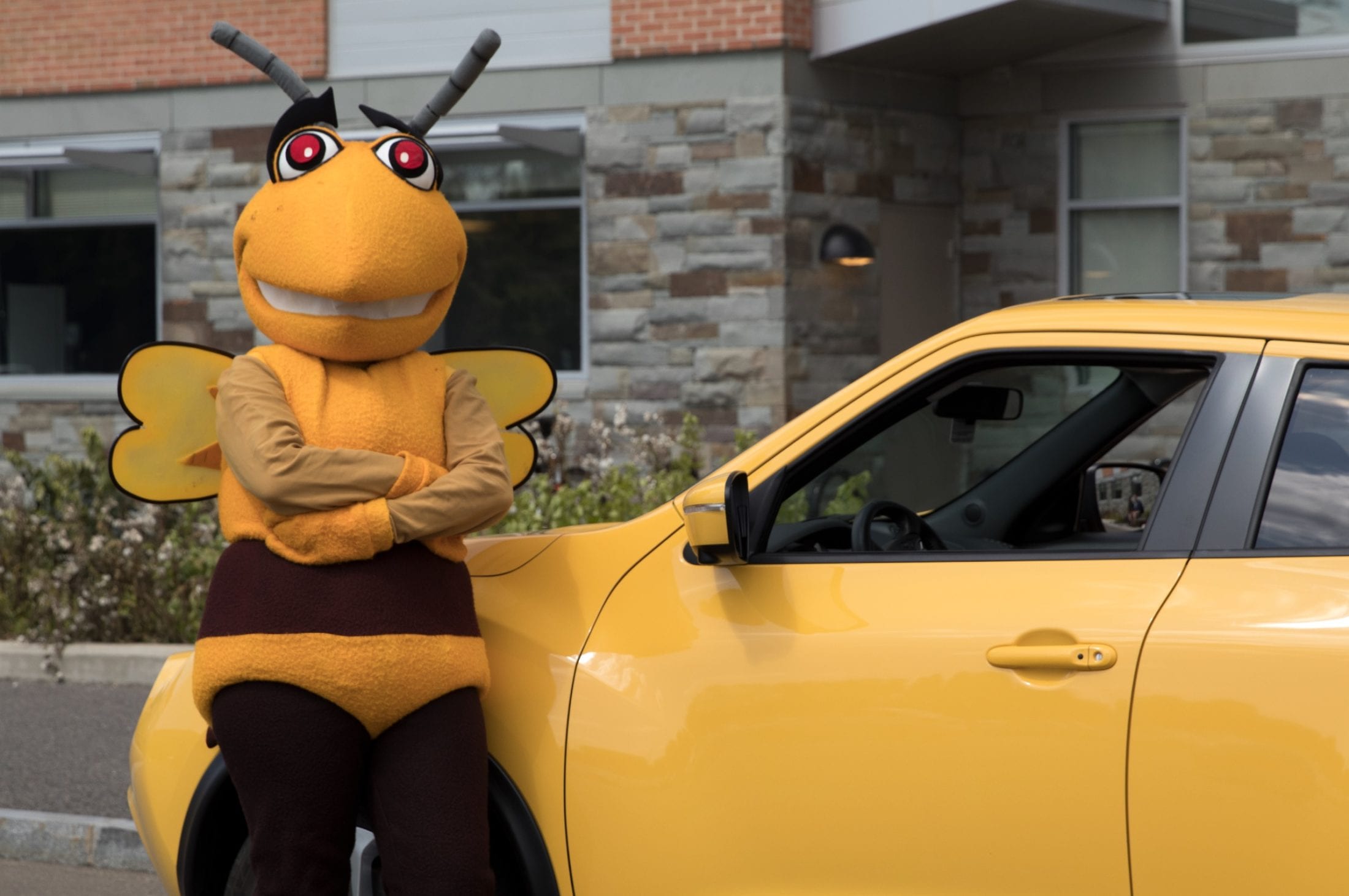 Mascot Madness: Vote for Stinger EVERY DAY starting at 1 p.m. March 13!