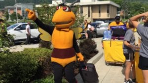 Stinger leads the way on Move-In Day 2018