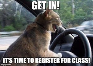 A cat at the wheel of a car, saying, "Get in! It's time to register for class!"