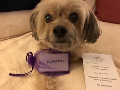 A dog wearing a "you matter" sign