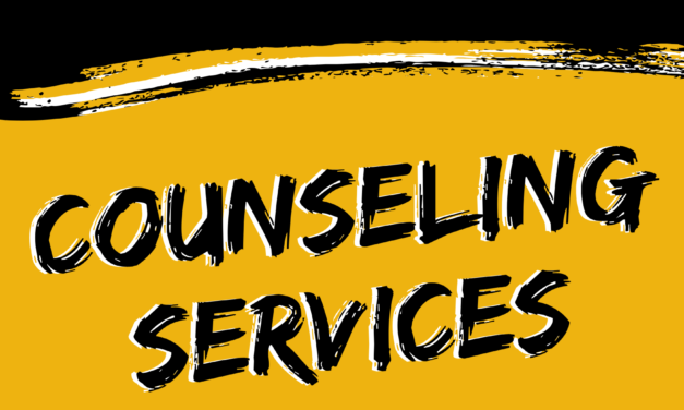 Counseling Corner (week 11)