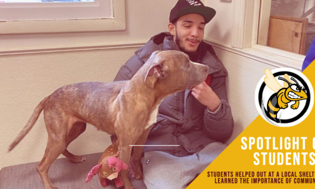 Students Learn the Importance of Community as they Help Animals at a Local Shelter.