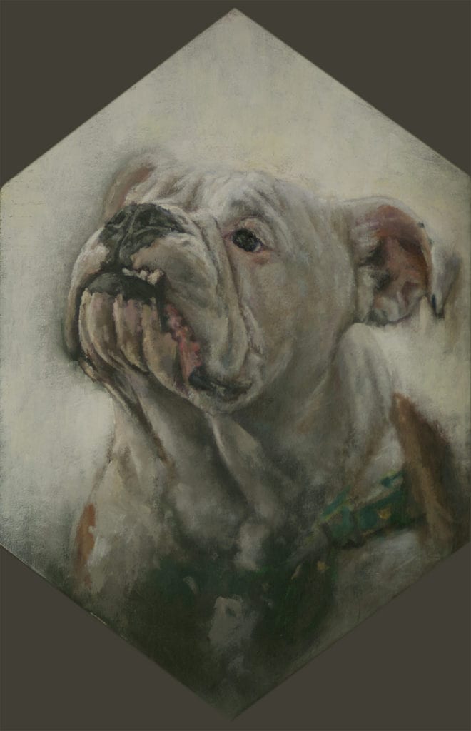 Professor Zeggert's oil portrait of Charlie (English Bulldog)