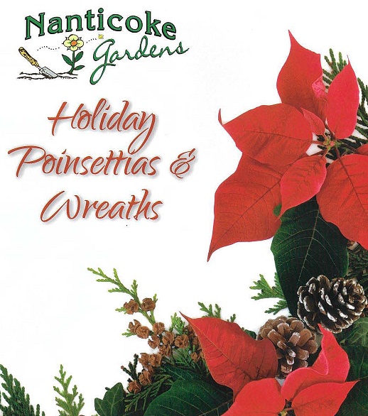 Nanticoke gardens Holiday Poinsettias & Wreaths