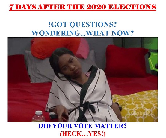 7 DAYS AFTER THE 2020 ELECTIONS !Got Questions? Wondering...What ow? Did your vote matter? (Heck...Yes!)