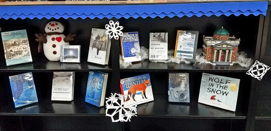 Winter Library Book Selection
