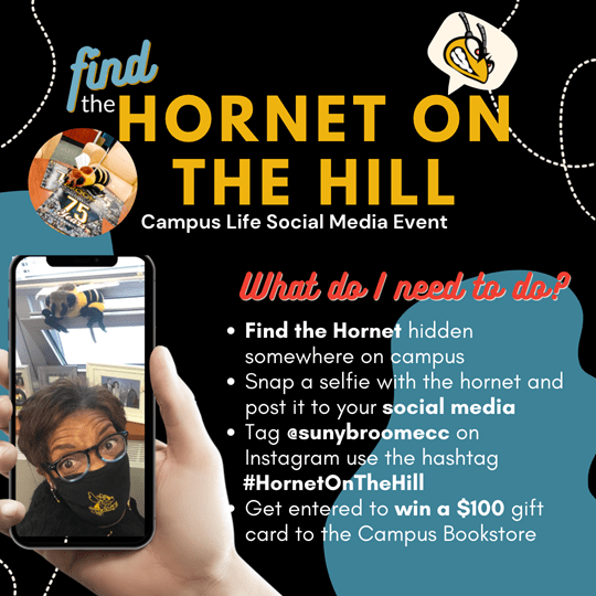 Find the Hornet On the Hill