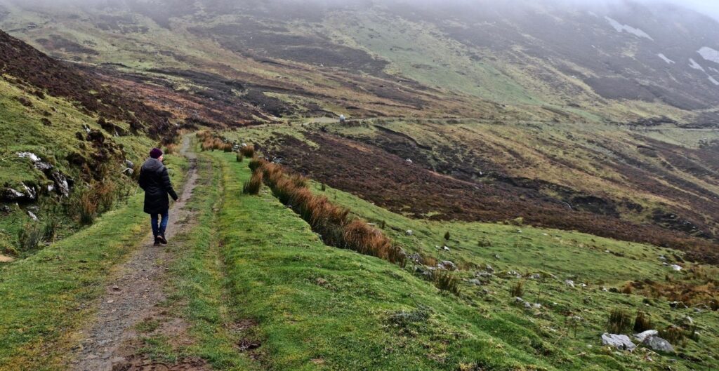 The 2024 Class of HST 105 Global Health in Ireland. View of the countryside of Ireland.