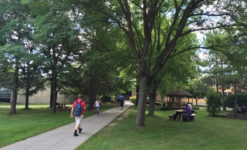 Student Services, Cafe, Dining