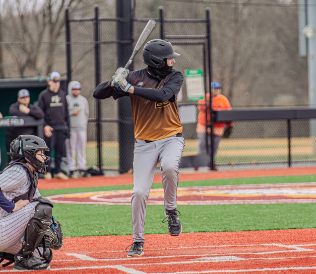 Baseball: Reis Jr. Hits For Cycle In Split At Fulton-Montgomery
