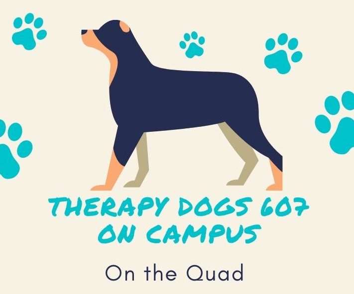 Therapy Dogs On Campus - On the quad.