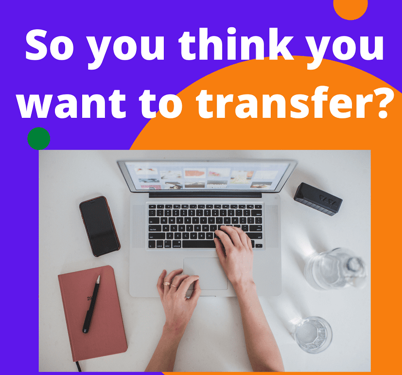 So You Think You Want To Transfer