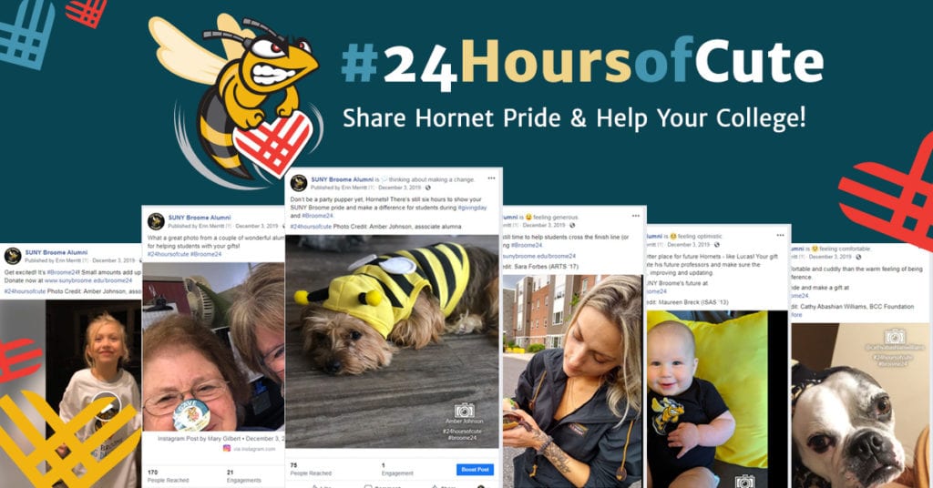 #24HoursofCute - Share Hornet Pride & Help your college!