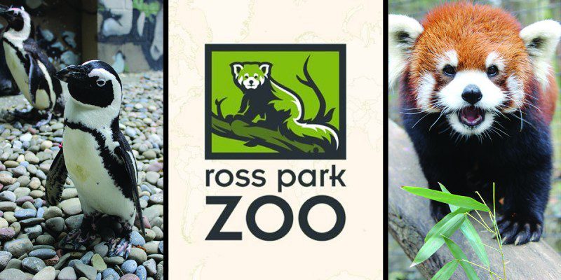 Ross Park Zoo