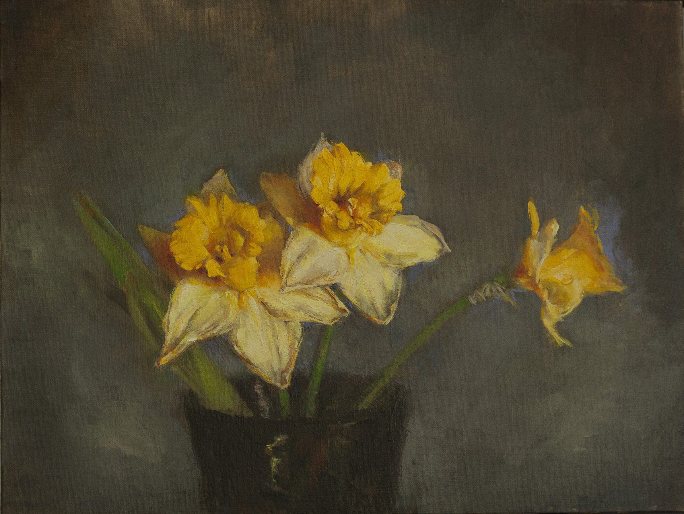 David Zeggert's Daffodils created with the modified Cox palette, which features a limitless range of chromatic blacks.
