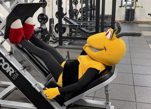 SUNY Broome Hornet using the Fitness center Leg Press